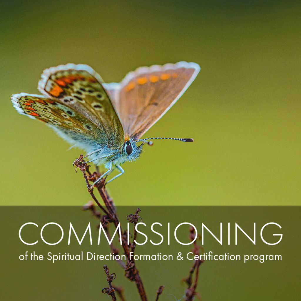 A butterfly with blue and orange coloring on the tip of a branch