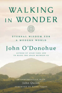 cover image of the book, "Walking in Wonder"